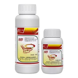 禾益70%啶虫脒吸停月季花卉黄瓜月季蚜虫棉蚜柑橘蓟马农药杀虫剂