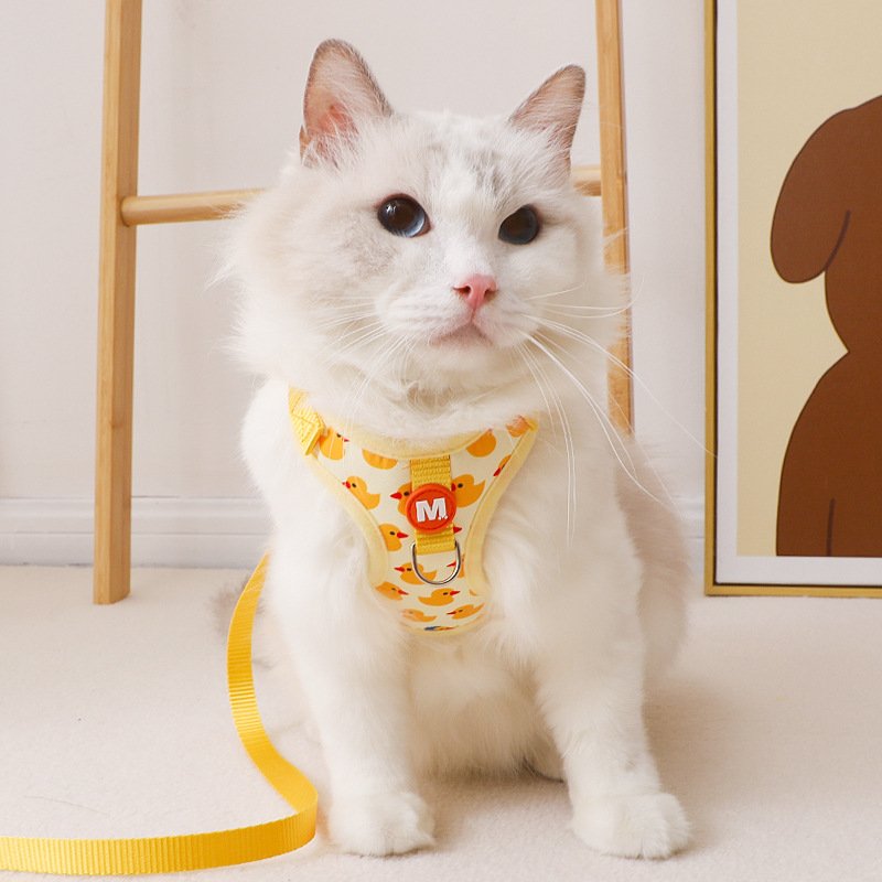 猫咪牵引绳高颜值防遛猫猫红德文猫幼挣脱专用网绳子绳调节可外出