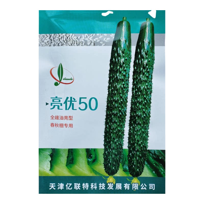 亮优50全雌黄瓜种子高产抗病密刺