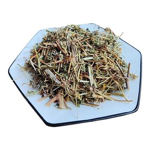 野菊花梗野生菊花苗外公花梗野菊花茎苦意干500克洗皮肤专用草药