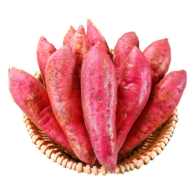 喜思农场新鲜陕西临潼板栗红薯