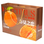 鲜元高档雅金丑橘空盒印金春见耙耙柑12粒分格带手提水果礼品包装