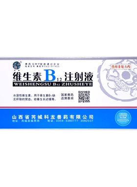 猫咪狗维生素VB12注射贫血神经炎