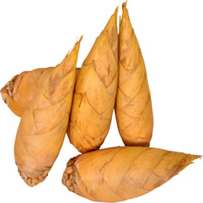 安徽宣城广德特产新鲜野生冬笋