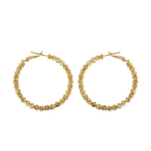 碎银子耳环圈圈小众大气耳圈2026新款轻奢高级感欧美风不规则耳饰