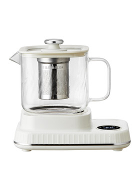 多功能小型养生壶养生杯办公室花茶壶家用小茶壶迷你煮茶器烧水壶