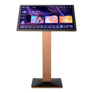 雷石雷客新款一体机KTV卡拉OK家庭用触摸屏语音智能点歌机唱享