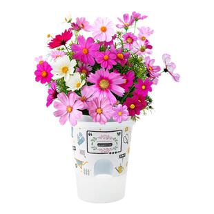 波斯菊花种子格桑花种籽子易活花籽庭院室外公路耐寒野花组合种子