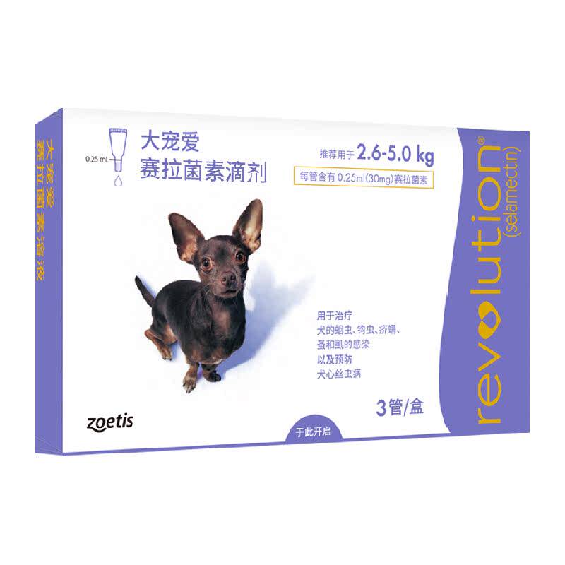 大宠爱狗狗体内外同驱持续保护