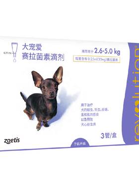 大宠爱狗狗体内外同驱持续保护