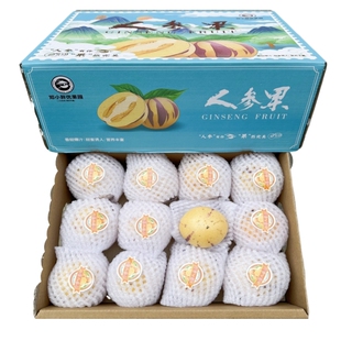 新货云南石林火山岩人参果礼盒装4斤装味甜多汁圆果大果新鲜包邮