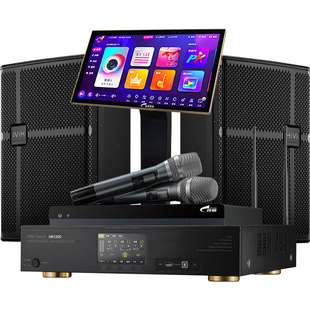 Hivi/惠威 DS810/DS812专业K歌套装家庭高端KTV音箱家用K歌音响