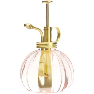 Purism Style纯粹主义生石花盆栽真铜复古喷壶浇花家用玻璃喷水壶