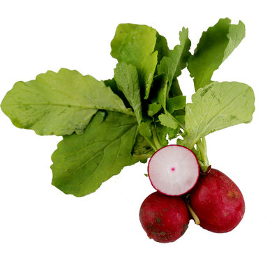 新鲜樱桃萝卜迷你洋花沙拉