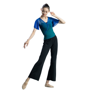 古典舞练功服女上衣基训舞蹈服成人纱衣芭蕾艺考教师修身形体演出