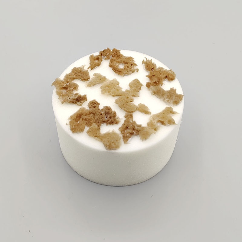 新款天然海藻绵装饰三彩工具木器漆涂料艺术水性金属幻彩珠光色点