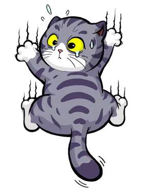 招吉猫抓痕宠物猫车贴纸装饰贴