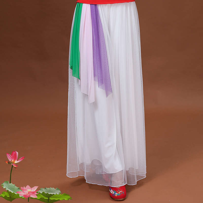 2019新款广场舞蹈阔腿裤 中老年古典舞裤演出裙裤 女大摆纱裤