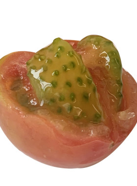 盘锦盐碱地有绿肩的迷彩草莓番茄