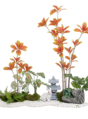 仿真绿植橡皮树大植物造景搭配