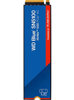 西部数据SN51001TBPCIe4.0SSD