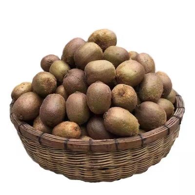 【纯野生】陕西秦岭野生猕猴桃