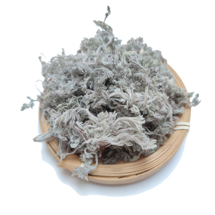 下单现挖新鲜茵陈野白蒿山野菜蒸菜绵茵陈茶湿茵陈摘净非干品包邮