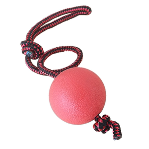 狗狗玩具球宠物耐咬橡胶球实心弹力球泰迪金毛边牧中大型犬训练球