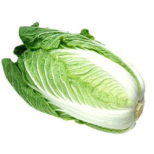 夏阳白菜种子耐热38度产量高春夏秋冬四季阳台盆栽蔬菜种孑包邮
