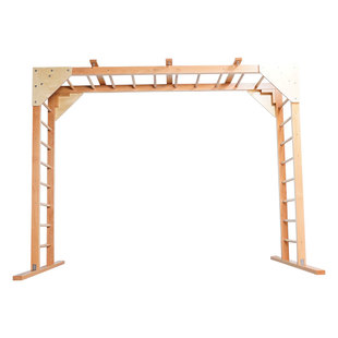 秋千攀爬悬挂组合架云梯引体向上家庭儿童体能训练器材家用悬吊架