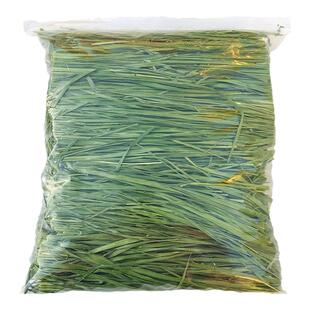 7A新25年烘干提摩西草精品北提干草兔子粮饲料荷兰猪龙猫牧草500g