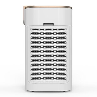 澳兰斯 智能家用负离子除甲醛PM2.5室内大型净化机健康家电OEM