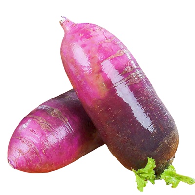 山东冰淇淋水果萝卜5斤冰激凌红萝卜冰糖心紫萝卜脆甜潍坊萝卜