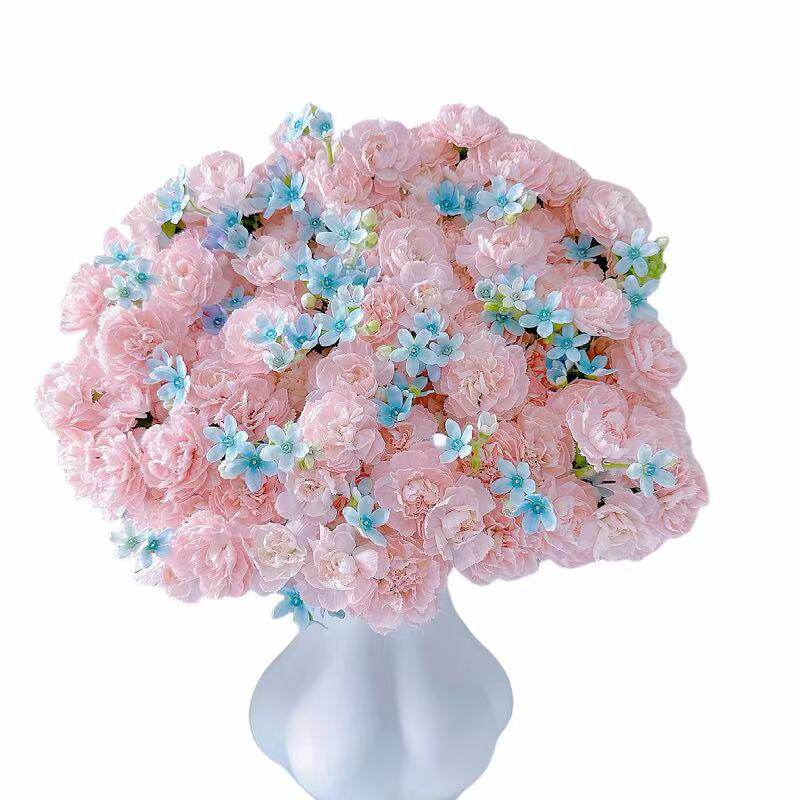 多头康乃馨鲜花网红花束鲜花云南基地直发客厅办公室插花手捧花