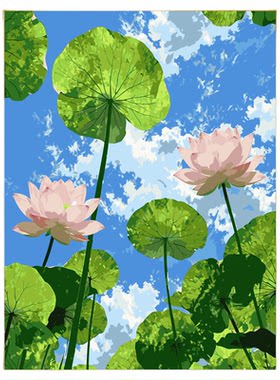 夏日荷花小清新数字油画送笔颜料