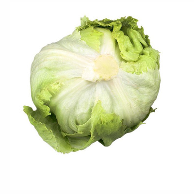 新鲜蔬菜汉堡圆西生菜球生菜