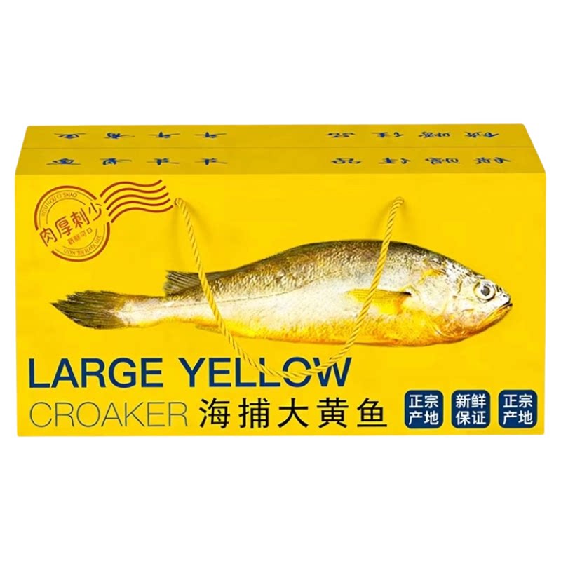 宁德深海新鲜冷冻特大黄花鱼