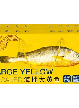 宁德深海新鲜冷冻特大黄花鱼