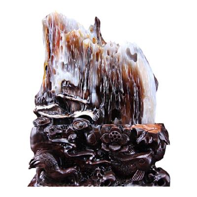 缅甸木化玉天然原石生物标本玉