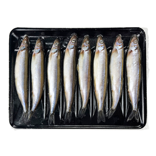 多春鱼特大号新鲜满籽200g子鱼海鲜水产香煎烧烤寿司料理冷冻食材