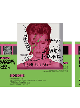 物色时差DavidBowie冰箱贴