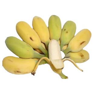 高州粉蕉自然熟米蕉正宗广东本地小香蕉10斤新鲜香甜糯儿童辅食