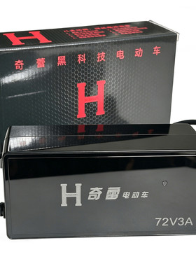 奇蕾原装正品铅酸的充电器
