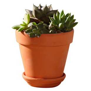 红陶花盆绿植带托盘陶瓷盆大红陶泥瓦盆简约多肉花盆陶土花盆包邮
