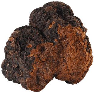 [三京堂]桦褐孔菌白桦茸桦树茸野生桦树茸泪白桦茸长白山桑黄500g