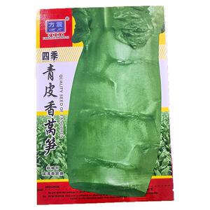 四季可播蔬菜种籽菜园内阳台