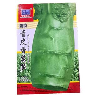 四季莴笋种子耐寒耐热秋冬四季可播种高产蔬菜种籽菜园内阳台盆栽