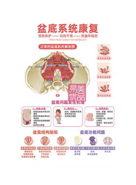 月子中心场景摆件盆底系统康复亚克力立牌医患沟通产后修复产康店