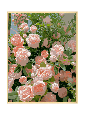 蔷薇花卉diy数字油画风景装饰画