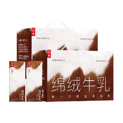 乐纯黑巧风味2箱牛奶200ml×20盒